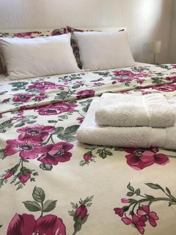 Apartman Studio Milojkovic جولوباك المظهر الخارجي الصورة