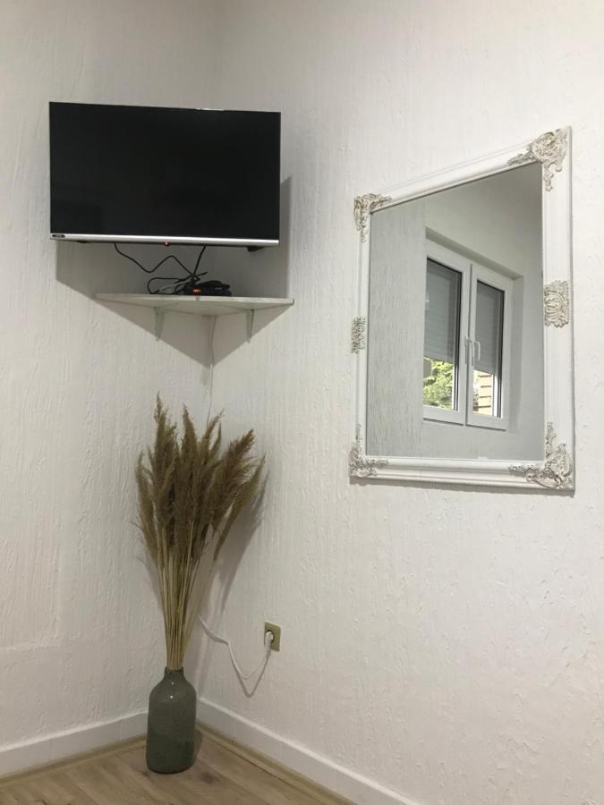 Apartman Studio Milojkovic جولوباك المظهر الخارجي الصورة