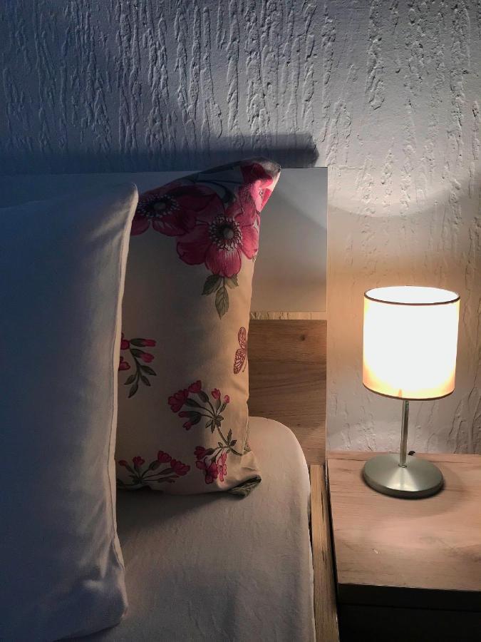 Apartman Studio Milojkovic جولوباك المظهر الخارجي الصورة