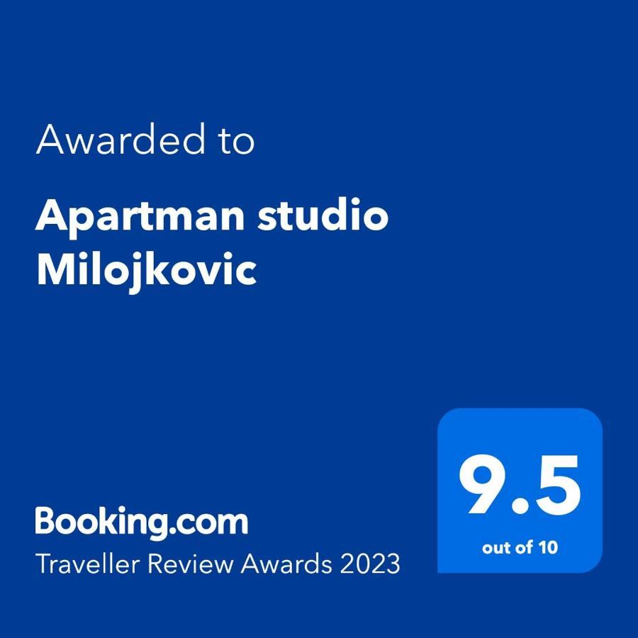 Apartman Studio Milojkovic جولوباك المظهر الخارجي الصورة